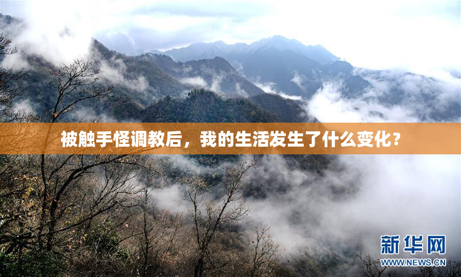 被触手怪调教后，我的生活发生了什么变化？