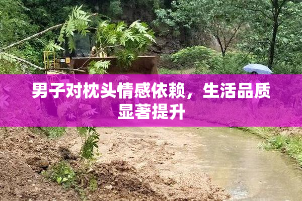 男子对枕头情感依赖，生活品质显著提升