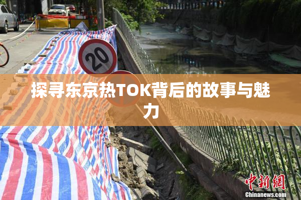 探寻东京热TOK背后的故事与魅力