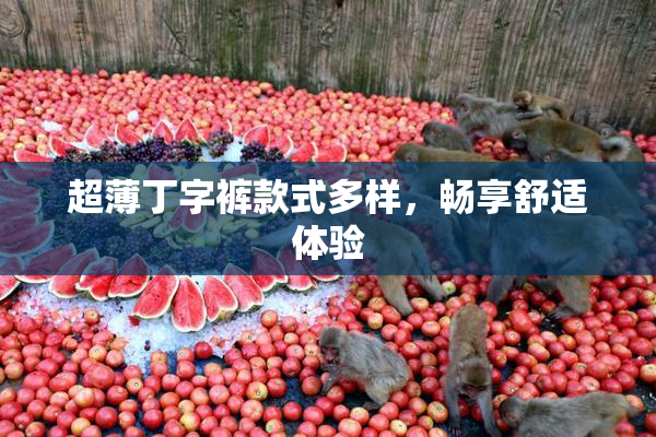 超薄丁字裤款式多样，畅享舒适体验