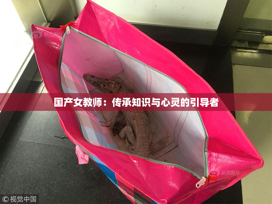 国产女教师：传承知识与心灵的引导者
