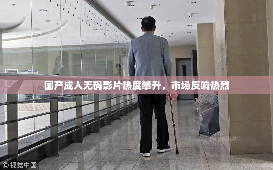国产成人无码影片热度攀升，市场反响热烈