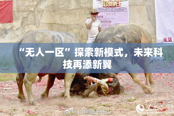 “无人一区”探索新模式，未来科技再添新翼