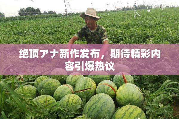 绝顶アナ新作发布，期待精彩内容引爆热议