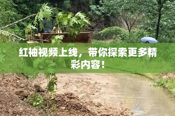 红袖视频上线，带你探索更多精彩内容！