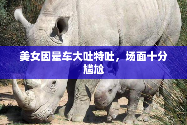 美女因晕车大吐特吐，场面十分尴尬