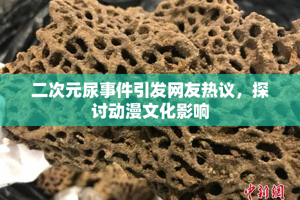 二次元尿事件引发网友热议，探讨动漫文化影响