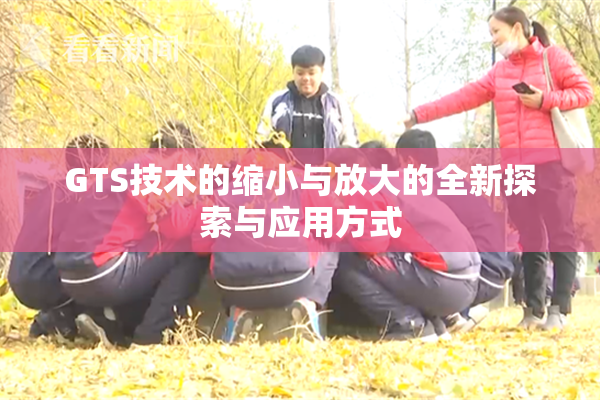 GTS技术的缩小与放大的全新探索与应用方式