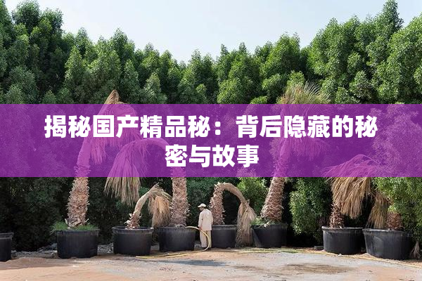 揭秘国产精品秘：背后隐藏的秘密与故事