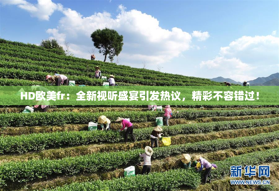 HD欧美fr：全新视听盛宴引发热议，精彩不容错过！