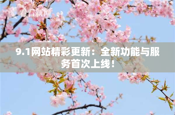 9.1网站精彩更新：全新功能与服务首次上线！