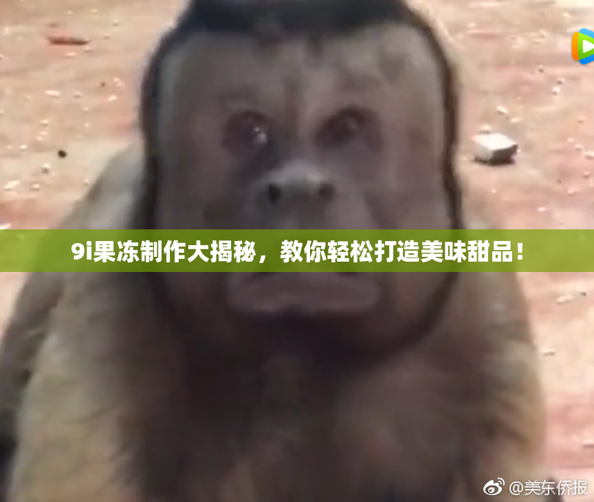 9i果冻制作大揭秘，教你轻松打造美味甜品！
