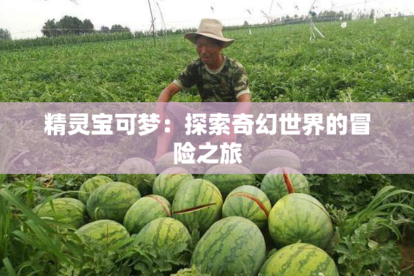 精灵宝可梦：探索奇幻世界的冒险之旅