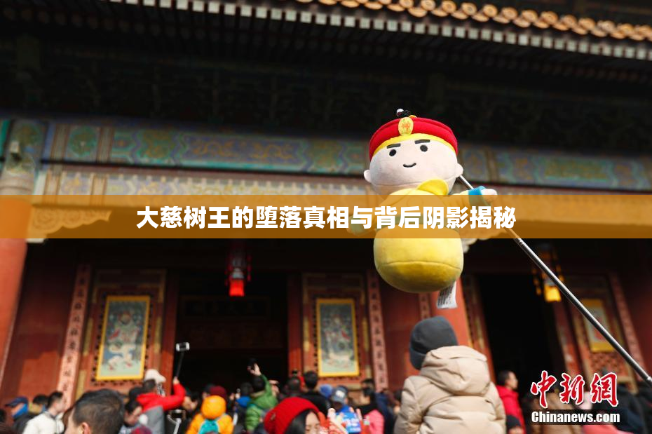 大慈树王的堕落真相与背后阴影揭秘