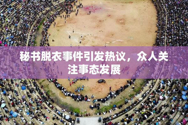 秘书脱衣事件引发热议，众人关注事态发展