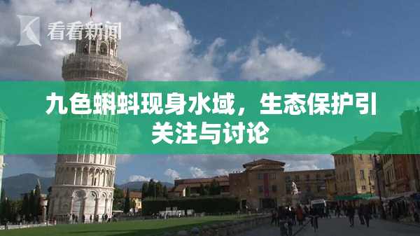 九色蝌蚪现身水域，生态保护引关注与讨论