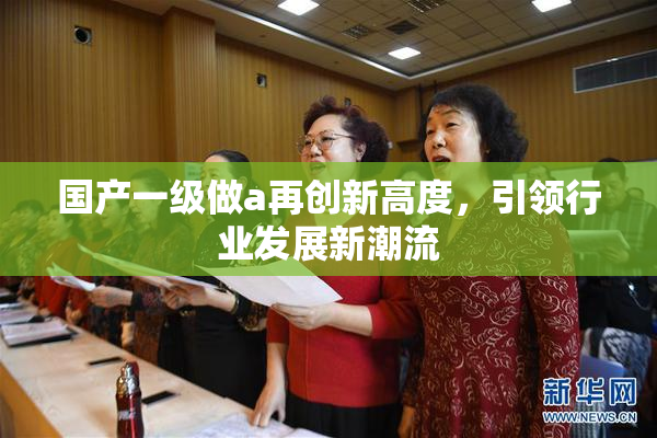 国产一级做a再创新高度，引领行业发展新潮流