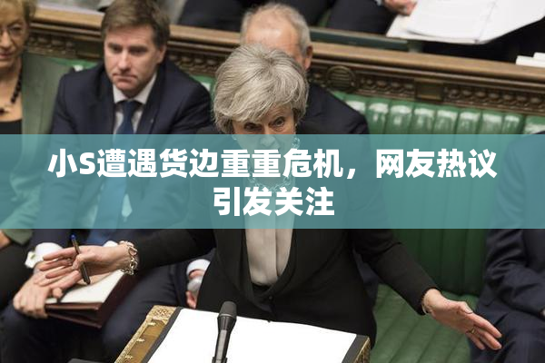 小S遭遇货边重重危机，网友热议引发关注