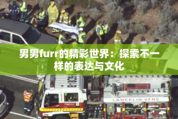男男furr的精彩世界：探索不一样的表达与文化