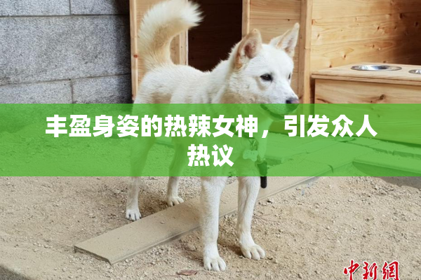 丰盈身姿的热辣女神，引发众人热议