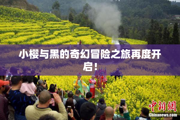 小樱与黑的奇幻冒险之旅再度开启！