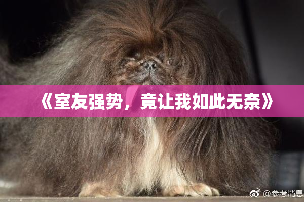 《室友强势，竟让我如此无奈》