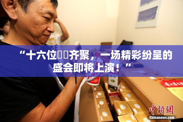 “十六位妺妺齐聚，一场精彩纷呈的盛会即将上演！”