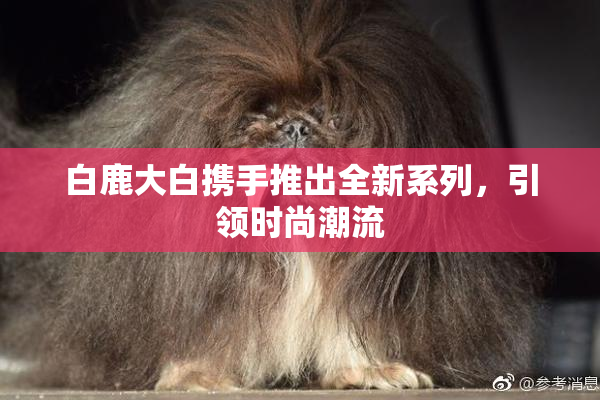 白鹿大白携手推出全新系列，引领时尚潮流