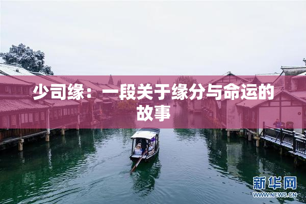 少司缘：一段关于缘分与命运的故事