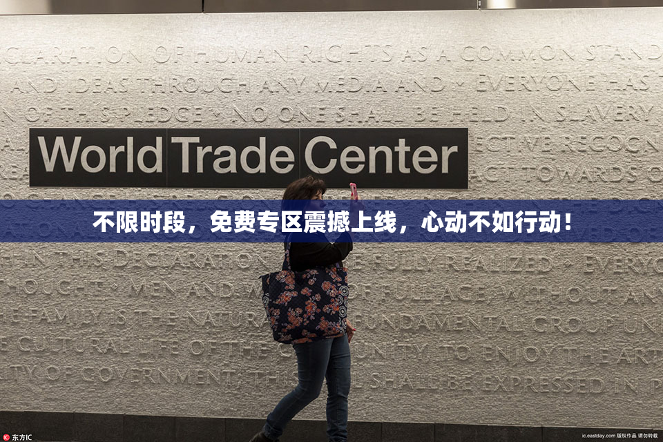 不限时段，免费专区震撼上线，心动不如行动！