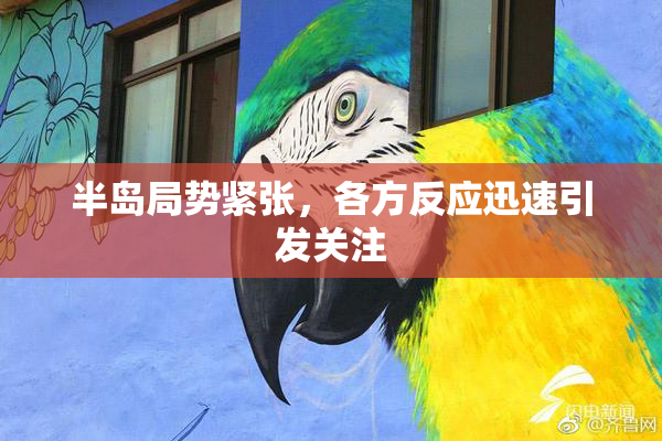 半岛局势紧张，各方反应迅速引发关注
