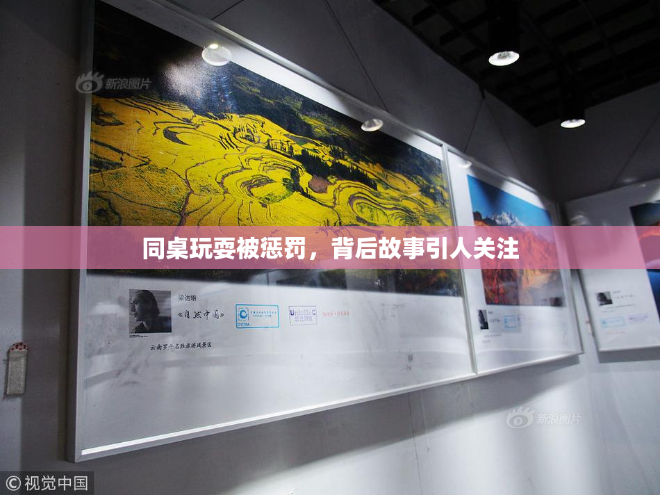 同桌玩耍被惩罚，背后故事引人关注