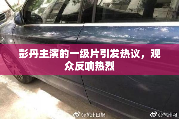 彭丹主演的一级片引发热议，观众反响热烈