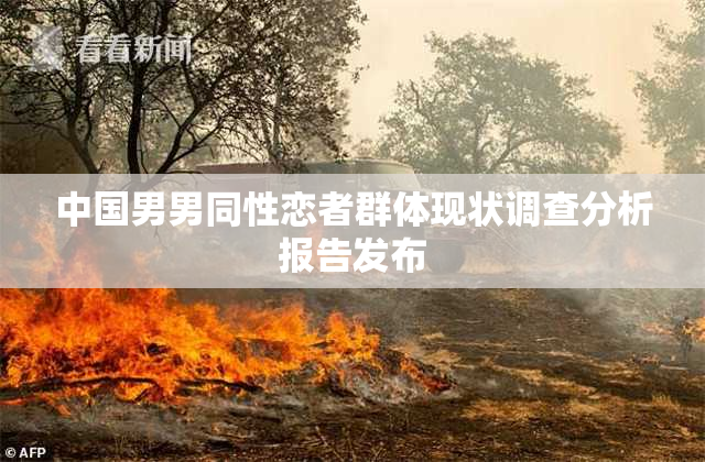 中国男男同性恋者群体现状调查分析报告发布