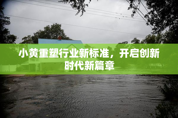 小黄重塑行业新标准，开启创新时代新篇章