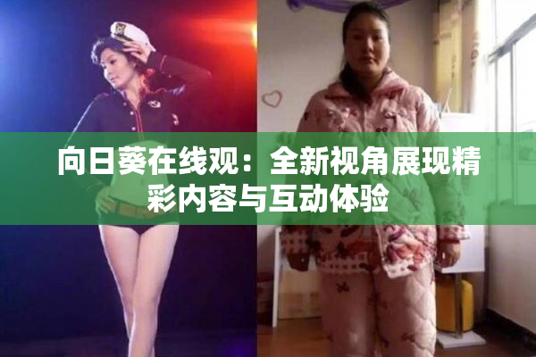 向日葵在线观：全新视角展现精彩内容与互动体验