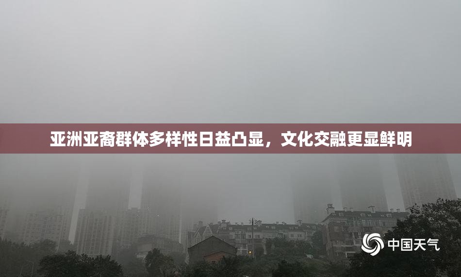 亚洲亚裔群体多样性日益凸显，文化交融更显鲜明