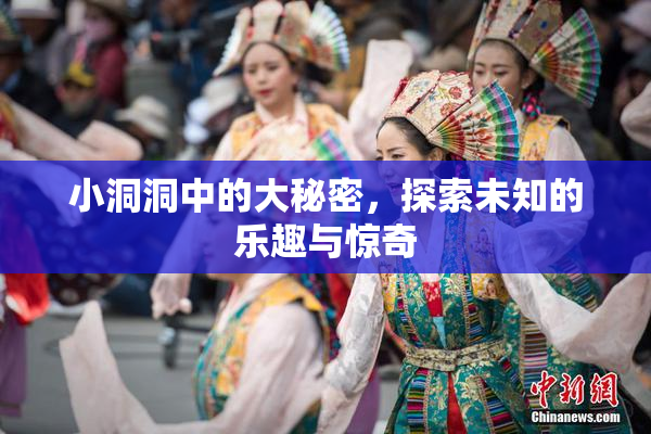 小洞洞中的大秘密，探索未知的乐趣与惊奇