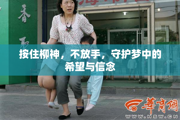 按住柳神，不放手，守护梦中的希望与信念