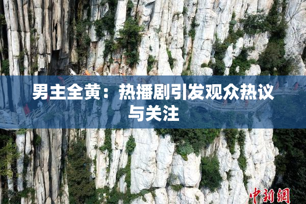 男主全黄：热播剧引发观众热议与关注