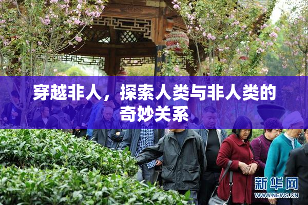 穿越非人，探索人类与非人类的奇妙关系