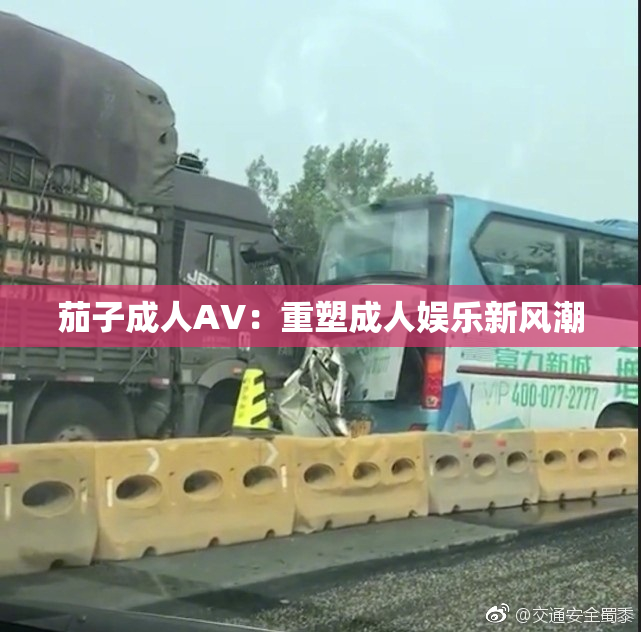 茄子成人AV：重塑成人娱乐新风潮