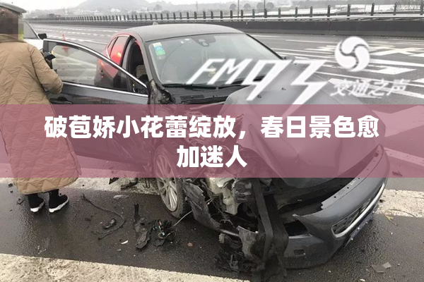 破苞娇小花蕾绽放，春日景色愈加迷人