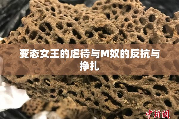变态女王的虐待与M奴的反抗与挣扎