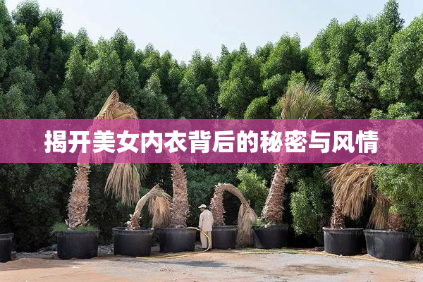 揭开美女内衣背后的秘密与风情