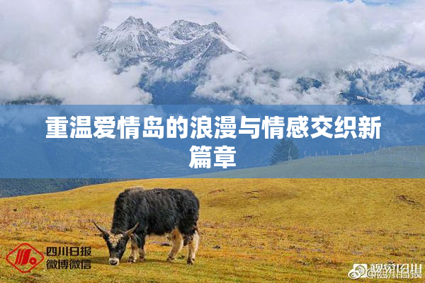 重温爱情岛的浪漫与情感交织新篇章