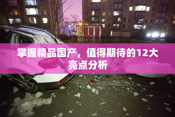 掌握精品国产，值得期待的12大亮点分析