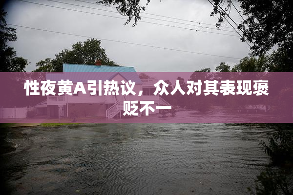 性夜黄A引热议，众人对其表现褒贬不一