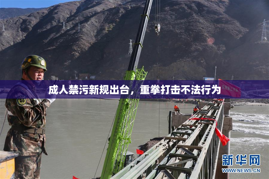 成人禁污新规出台，重拳打击不法行为