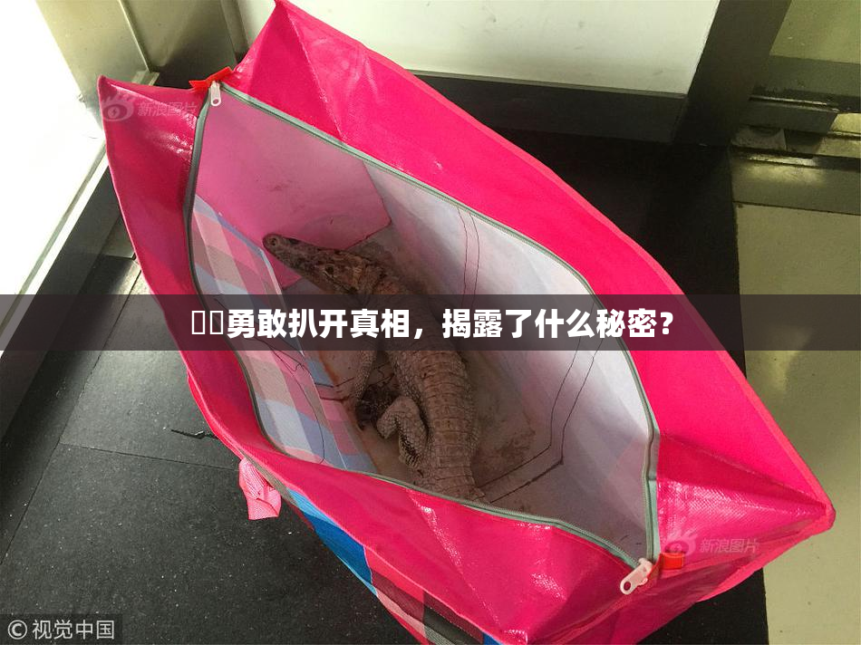 妺妺勇敢扒开真相，揭露了什么秘密？